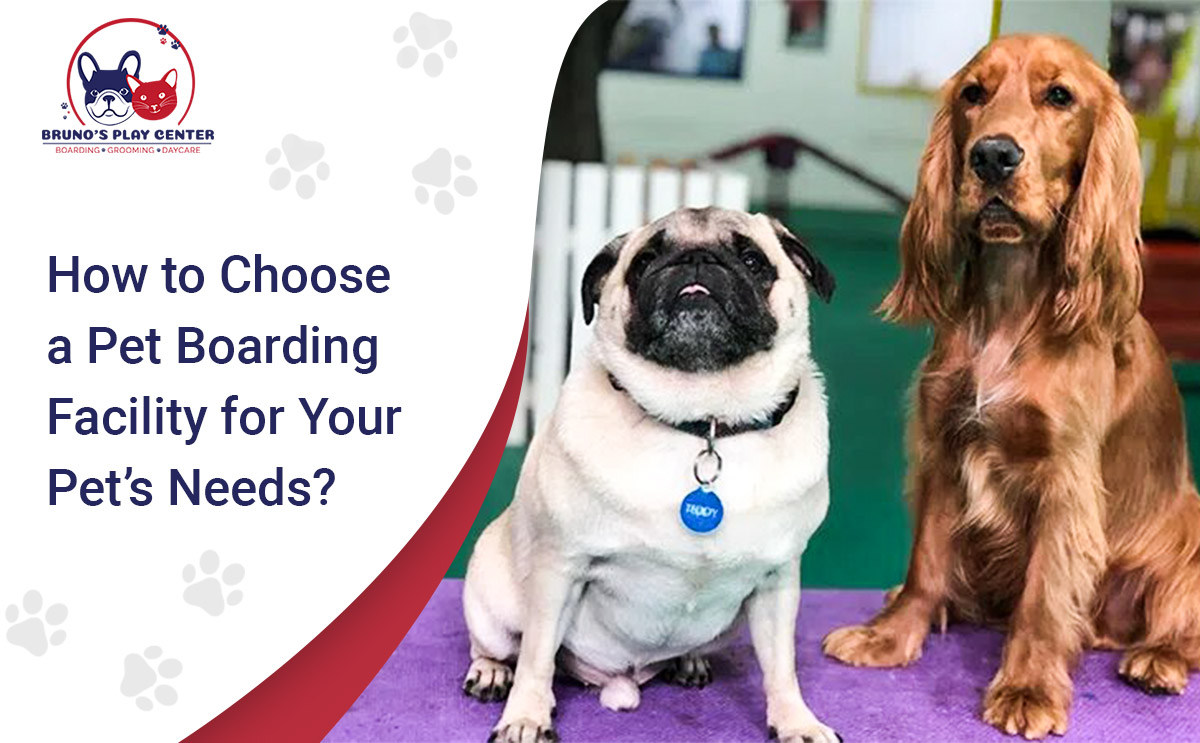 choose pet boarding facility