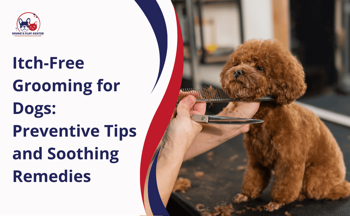 Itch-Free Grooming for Dogs