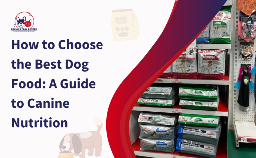 how to choose dog food in dubai