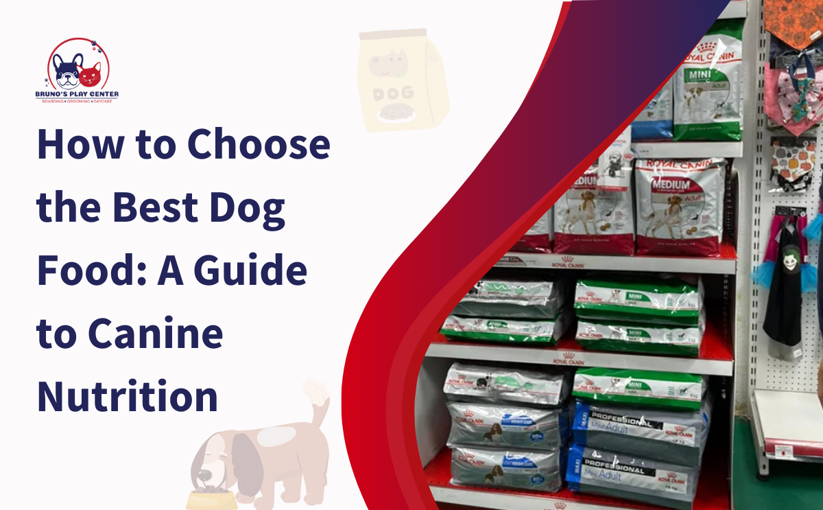 how to choose dog food in dubai