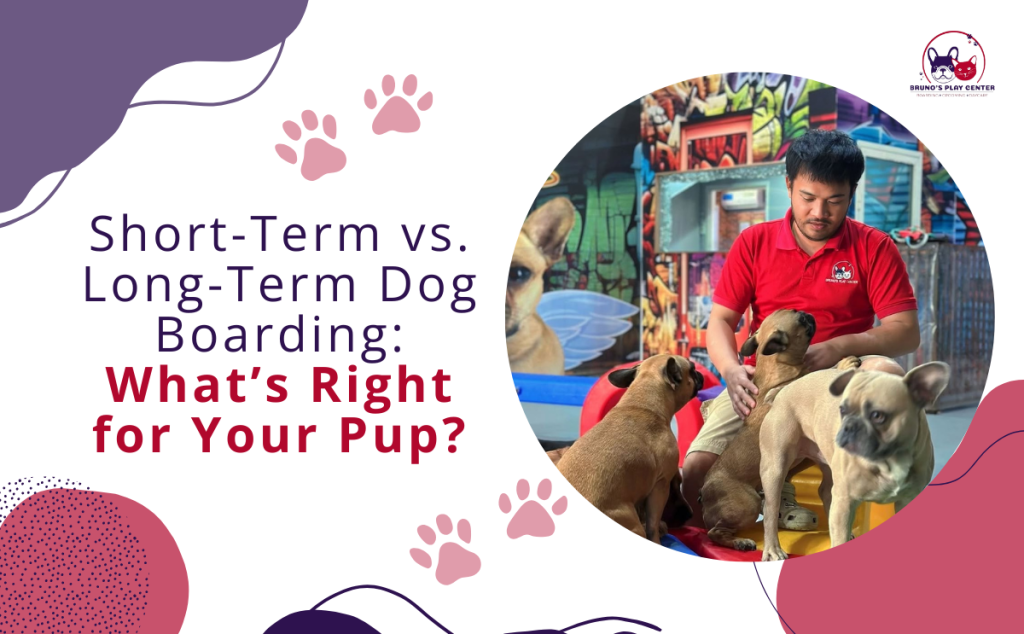 short term vs long term dog boarding