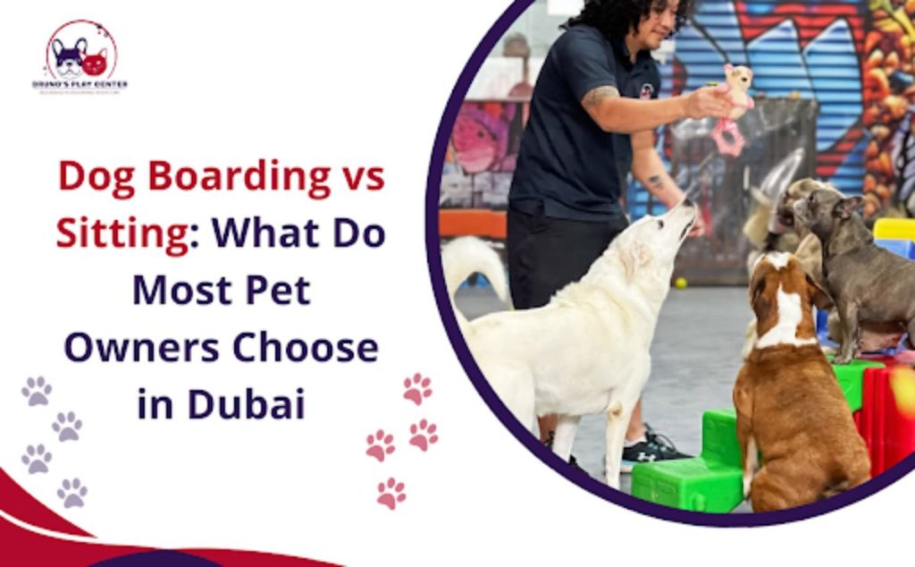 Dog Boarding vs Sitting
