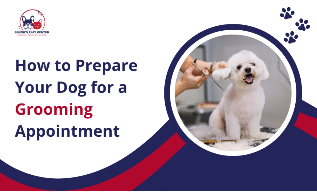 prepare your dog for grooming appointment