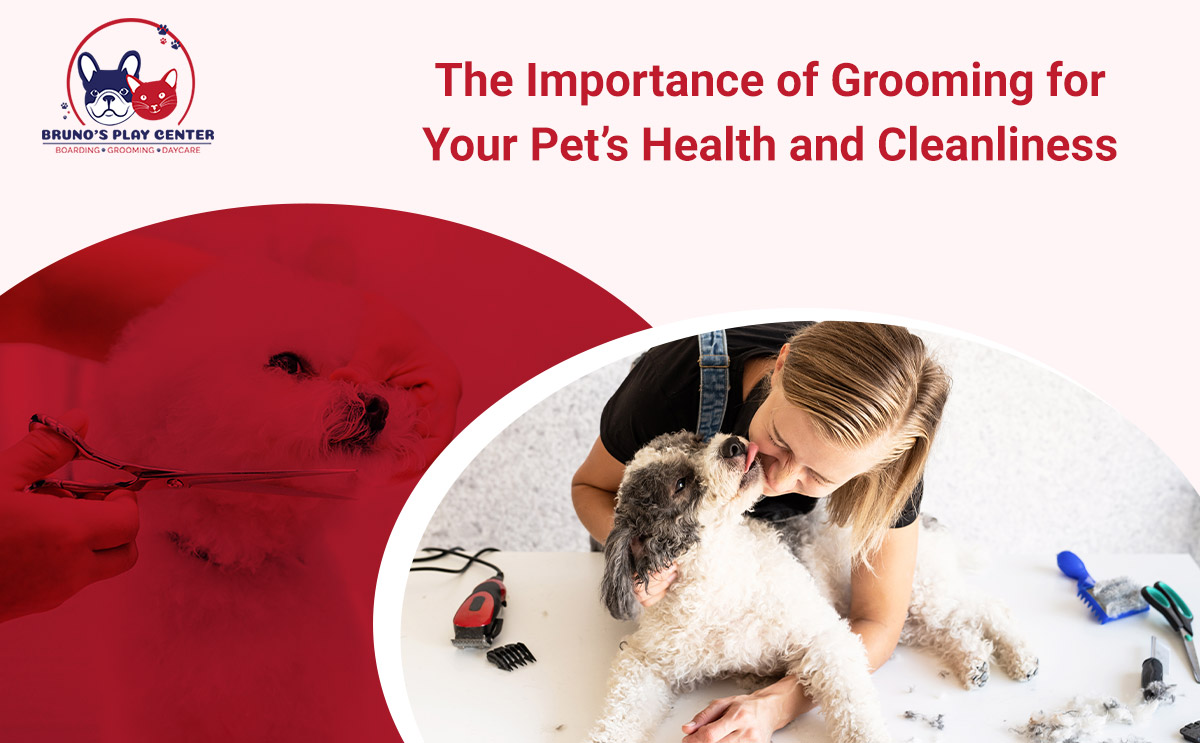 Prioritize Grooming for Health and Hygiene