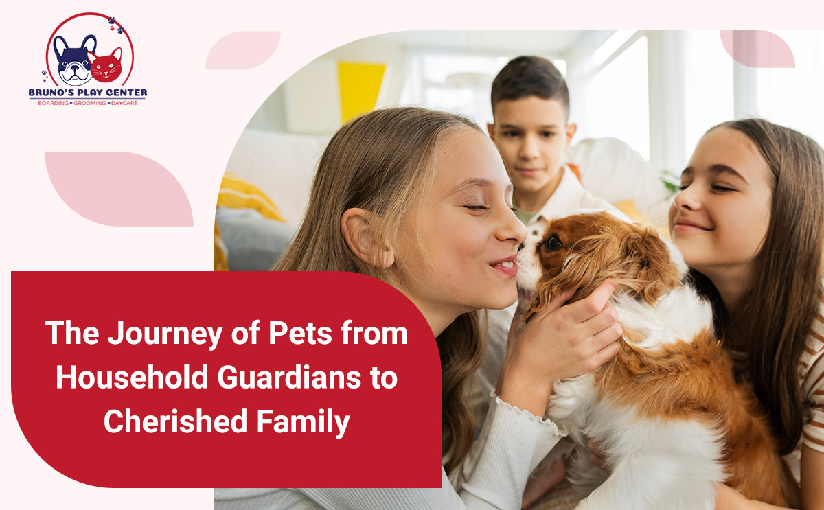 Pets: From Guardians to Family Members