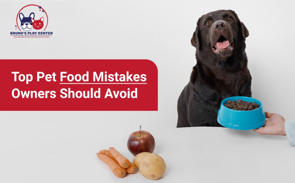 Pet Food Mistakes