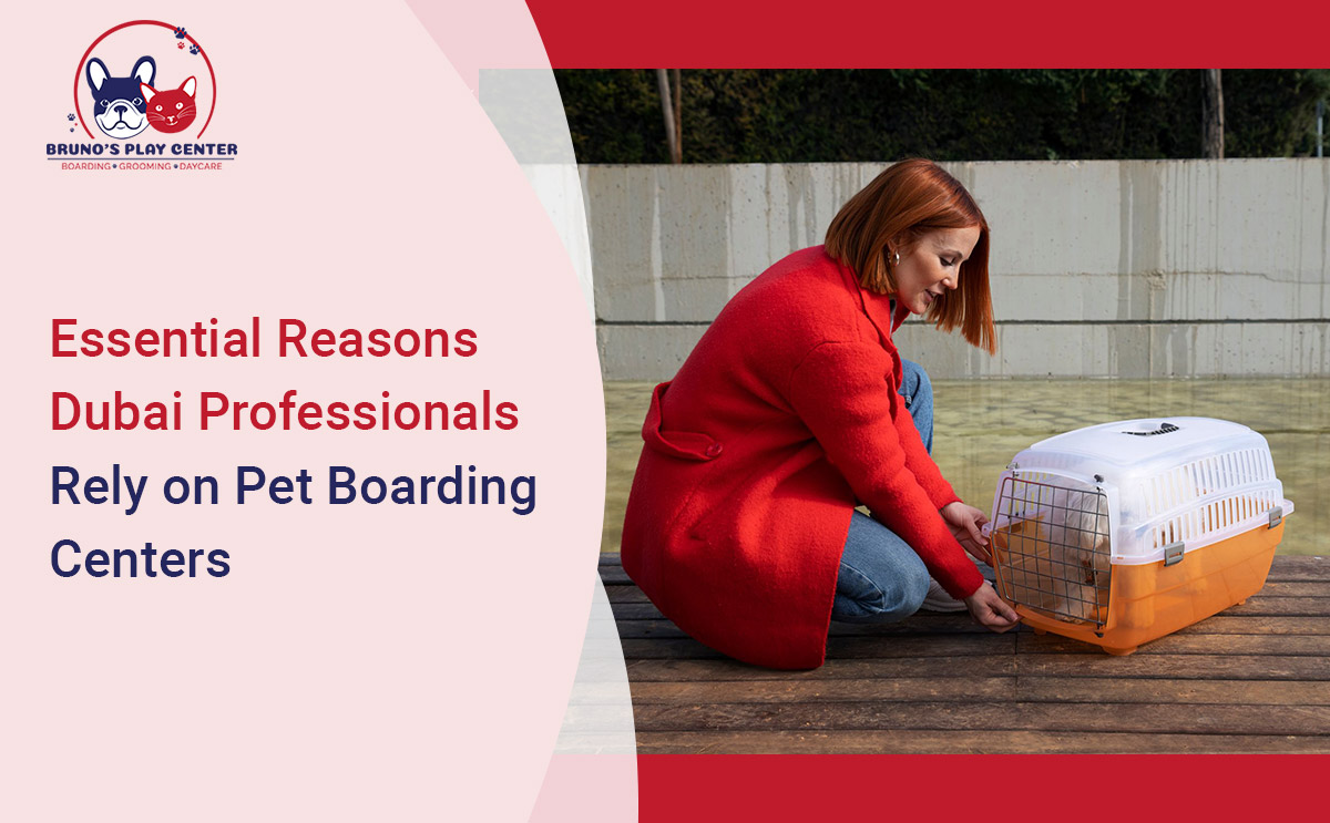 Pet Boarding Centers