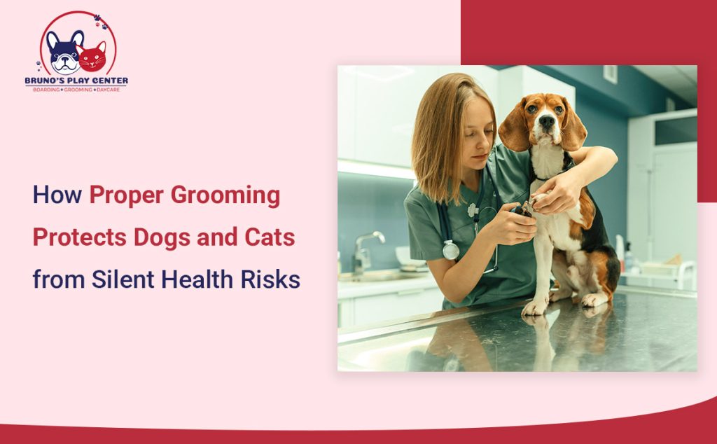 Grooming Can Prevent Hidden Health Problems