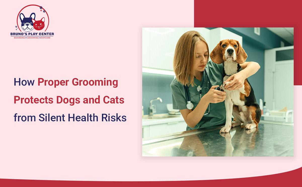 Grooming Can Prevent Hidden Health Problems